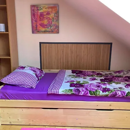 Penzion Apponyi Vendeghaz Kaposvár